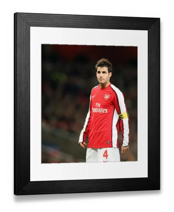 Framed Print : Cesc Fabregas: Architect of Arsenal's 1-0 UEFA Champions League Triumph over Dynamo Kiev (November 25, 2008) Framed Print : Cesc Fabregas: Architect of Arsenal's 1-0 UEFA Champions League Triumph over Dynamo Kiev (November 25, 2008)