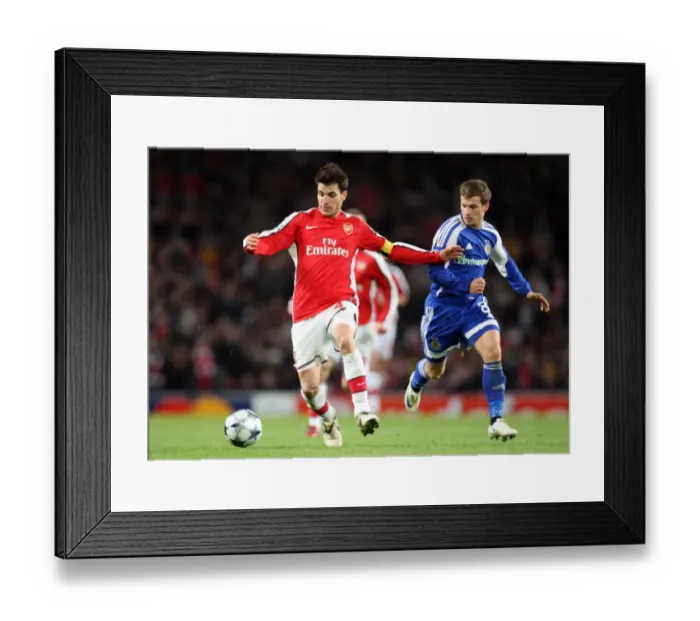 Framed Print : Cesc Fabregas (Arsenal) Olexandr Aliyev (Kiev) Framed Print : Cesc Fabregas (Arsenal) Olexandr Aliyev (Kiev)