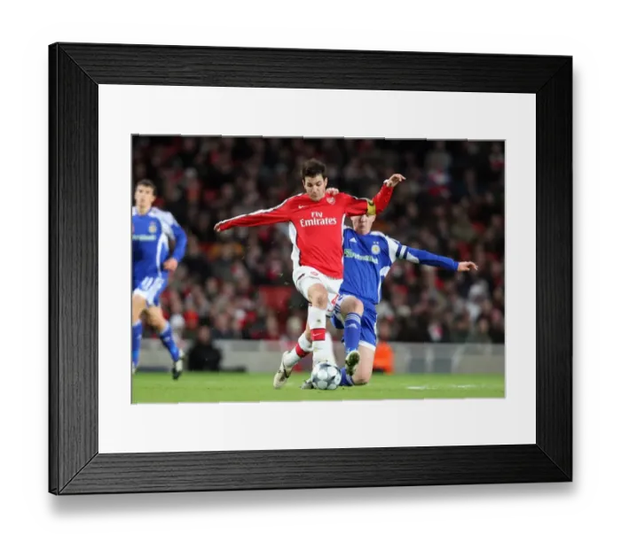 Framed Print : Cesc Fabregas Sparks Arsenal's 1:0 Victory over Dynamo Kiev in UEFA Champions League Framed Print : Cesc Fabregas Sparks Arsenal's 1:0 Victory over Dynamo Kiev in UEFA Champions League