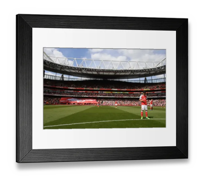Framed Print : Mesut Ozil: Focused and Ready for Arsenal vs. Everton, Premier League 2016-17 Framed Print : Mesut Ozil: Focused and Ready for Arsenal vs. Everton, Premier League 2016-17