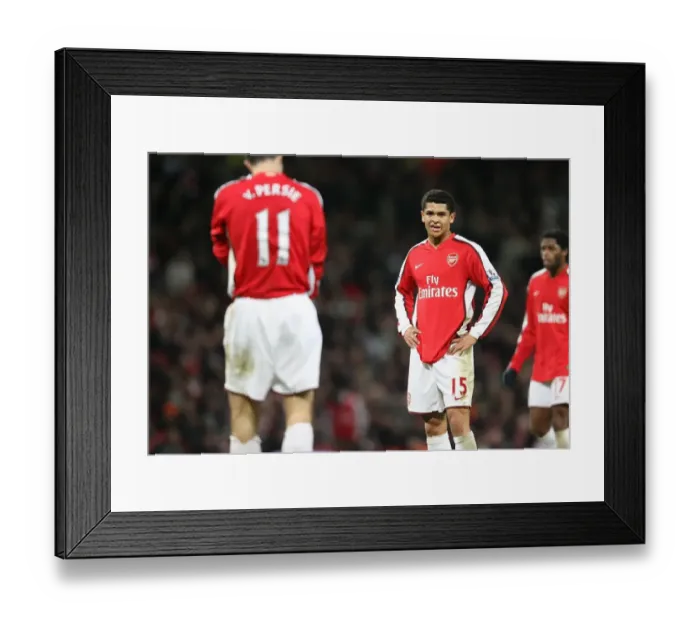 Framed Print : Denilson's Victory: Arsenal 1-0 Wigan, Barclays Premier League, Emirates Stadium, London, 6 / 12 / 2008 Framed Print : Denilson's Victory: Arsenal 1-0 Wigan, Barclays Premier League, Emirates Stadium, London, 6 / 12 / 2008