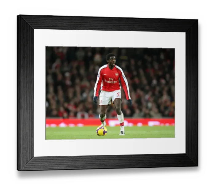 Framed Print : Kolo Toure's Victory: Arsenal 1-0 Wigan Athletic, Barclays Premier League, Emirates Stadium (December 6, 2008)