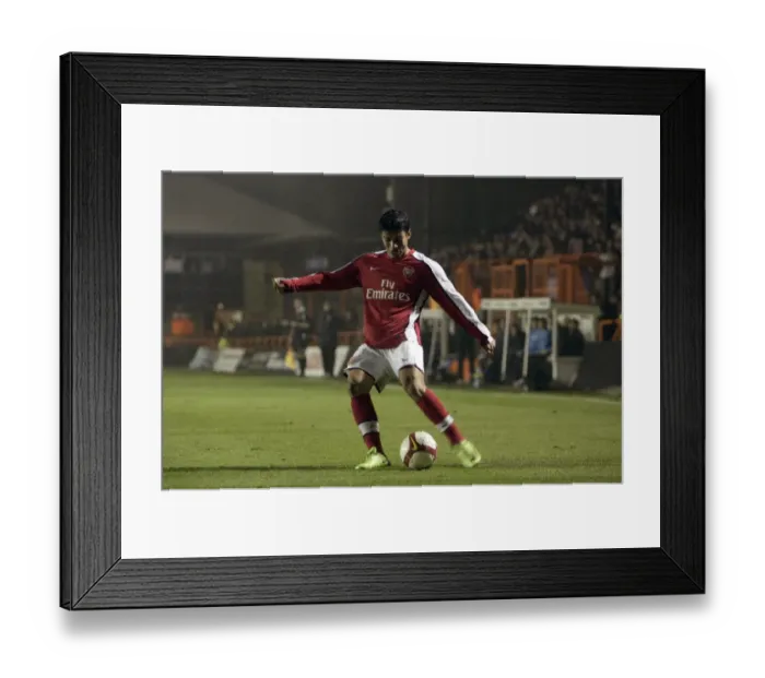 Framed Print : Arsenal's Eduardo Scores Twice: 2-0 Win Over Portsmouth Reserves in Barclays Premier Reserve League Framed Print : Arsenal's Eduardo Scores Twice: 2-0 Win Over Portsmouth Reserves in Barclays Premier Reserve League