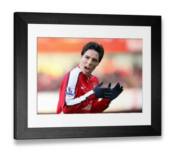 Framed Print : Samir Nasri's Goal: Arsenal's 1-0 Victory Over Portsmouth in the Barclays Premier League (December 28, 2008) Framed Print : Samir Nasri's Goal: Arsenal's 1-0 Victory Over Portsmouth in the Barclays Premier League (December 28, 2008)