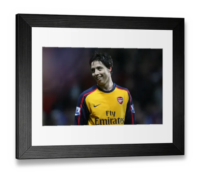 Framed Print : Samir Nasri: Aston Villa Stalemate in Barclays Premier League, 26 / 12 / 2008