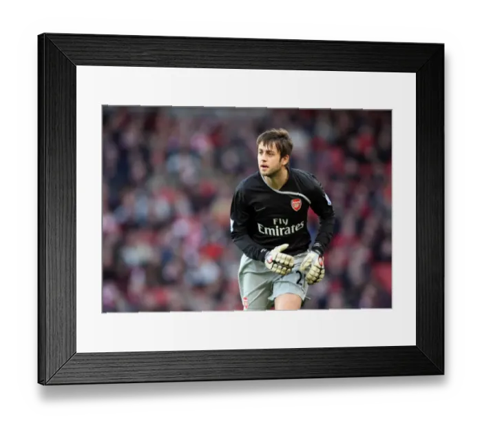 Framed Print : Arsenal's Triumph: Lukasz Fabianski in Action during FA Cup Victory over Plymouth Argyle (3:1, Emirates Stadium, 3 / 1 / 09)