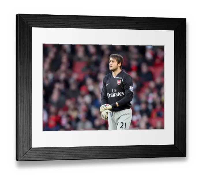 Framed Print : Arsenal's FA Cup Victory: Lukasz Fabianski's Unforgettable Performance Against Plymouth Argyle (3-1, 3 / 1 / 09)