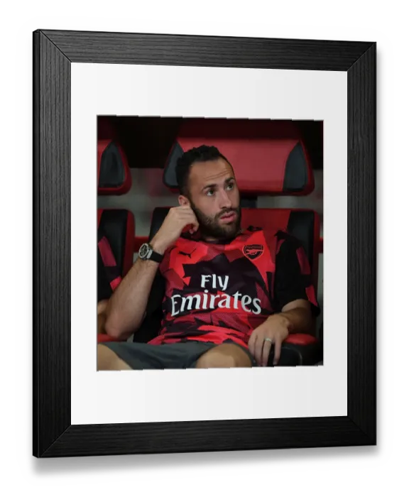Framed Print : David Ospina: Arsenal Goalkeeper Readies for Bayern Munich Clash in Shanghai, 2017 Framed Print : David Ospina: Arsenal Goalkeeper Readies for Bayern Munich Clash in Shanghai, 2017