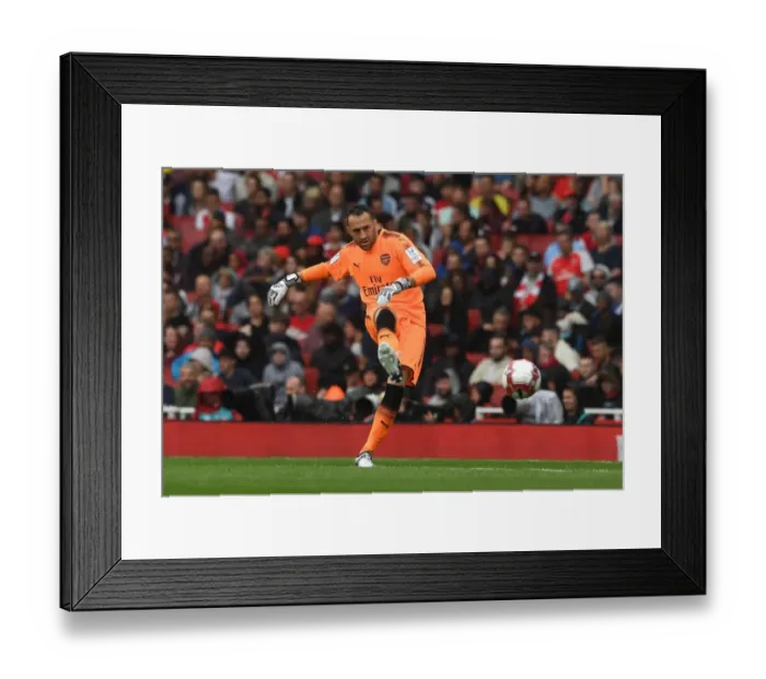 Framed Print : Arsenal's David Ospina in Action Against SL Benfica at the Emirates Cup 2017-18 Framed Print : Arsenal's David Ospina in Action Against SL Benfica at the Emirates Cup 2017-18