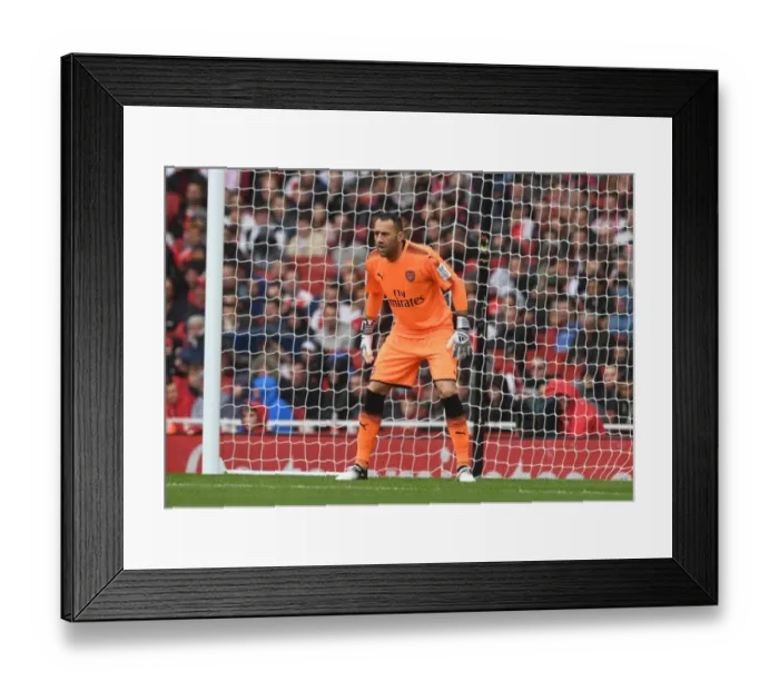 Framed Print : Arsenal's David Ospina in Action Against SL Benfica - Emirates Cup 2017-18 Framed Print : Arsenal's David Ospina in Action Against SL Benfica - Emirates Cup 2017-18