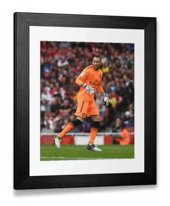 Framed Print : Arsenal's David Ospina in Action at Emirates Cup 2017-18 Framed Print : Arsenal's David Ospina in Action at Emirates Cup 2017-18