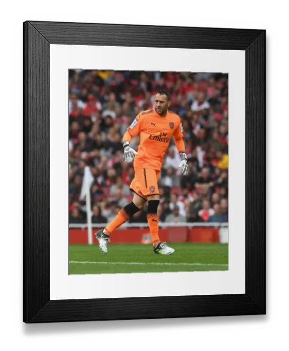 Framed Print : Arsenal's David Ospina in Action Against SL Benfica - Emirates Cup 2017-18 Framed Print : Arsenal's David Ospina in Action Against SL Benfica - Emirates Cup 2017-18