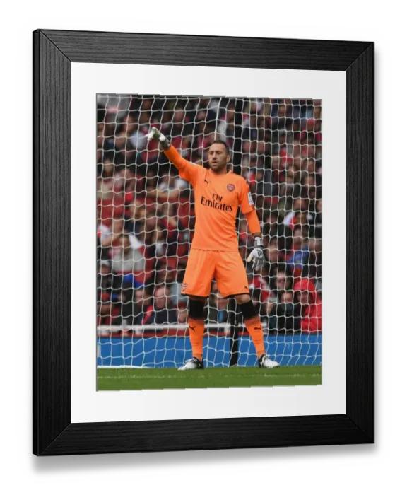 Framed Print : Arsenal's David Ospina in Action Against SL Benfica - Emirates Cup 2017-18 Framed Print : Arsenal's David Ospina in Action Against SL Benfica - Emirates Cup 2017-18