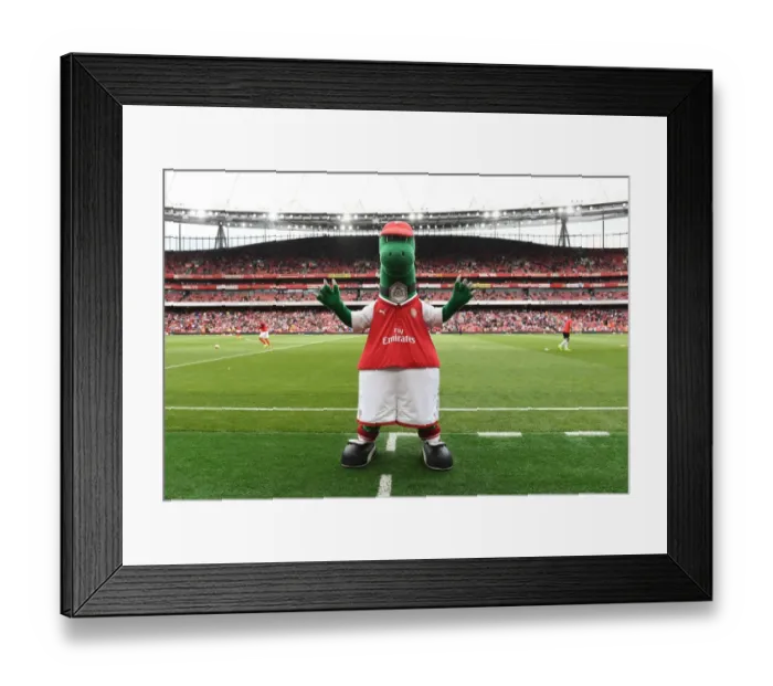 Framed Print : Gunneraurus at Arsenal vs Sevilla - Emirates Cup 2017-18 Framed Print : Gunneraurus at Arsenal vs Sevilla - Emirates Cup 2017-18