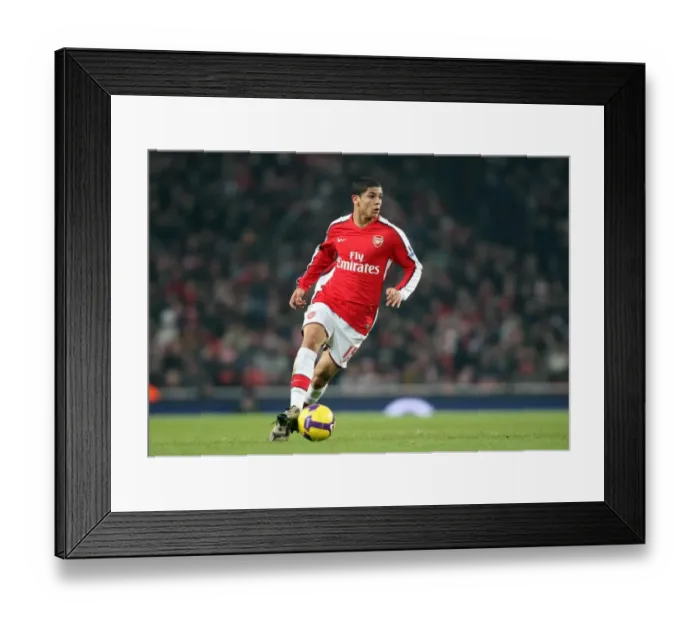 Framed Print : Denilson's Goal: Arsenal's 1-0 Victory Over Bolton Wanderers, Barclays Premier League, Emirates Stadium (January 10, 2009)