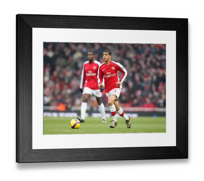Framed Print : Denilson's Stunner: Arsenal's 1-0 Win Over Bolton Wanderers, Barclays Premier League, Emirates Stadium (January 10, 2009)