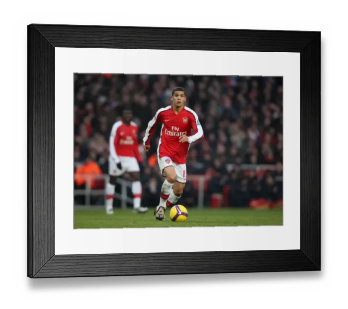 Framed Print : Denilson's Strike: Arsenal's 1-0 Victory Over Bolton Wanderers in the Barclays Premier League, Emirates Stadium (10 / 1 / 09)