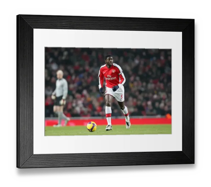 Framed Print : Kolo Toure's Victory: Arsenal 1-0 Bolton Wanderers, Barclays Premier League, Emirates Stadium (January 10, 2009)