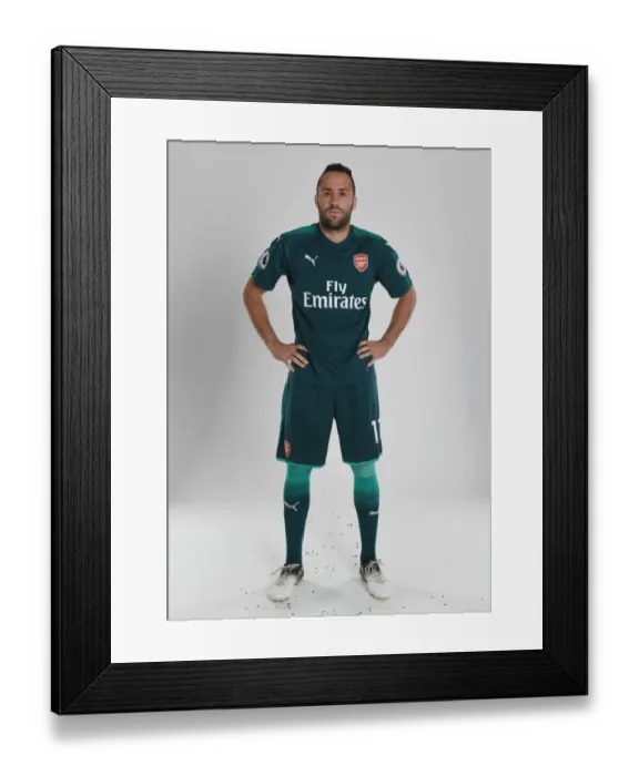 Framed Print : Arsenal Football Club 2017-18 Team: David Ospina at Team Photocall Framed Print : Arsenal Football Club 2017-18 Team: David Ospina at Team Photocall