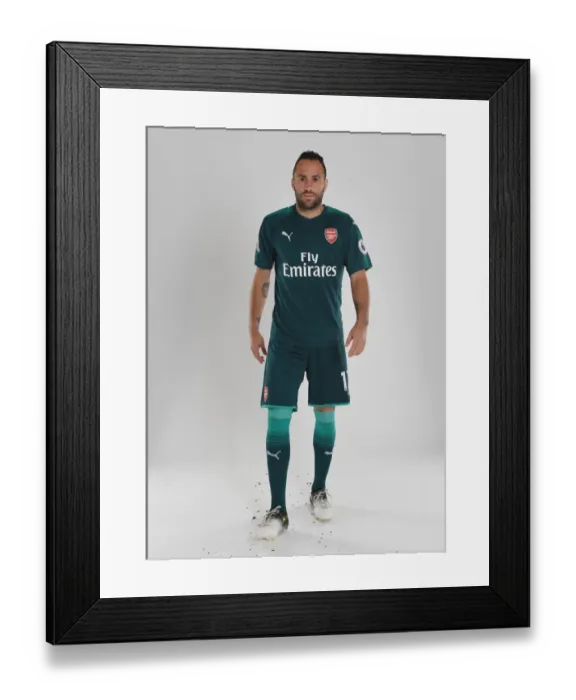 Framed Print : Arsenal Football Club 2017-18 Team: David Ospina at Team Photocall Framed Print : Arsenal Football Club 2017-18 Team: David Ospina at Team Photocall
