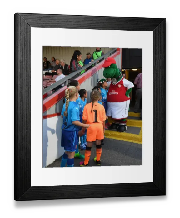 Framed Print : Gunnersaurus with Mascots: Arsenal Women vs Everton Ladies Pre-Season Friendly