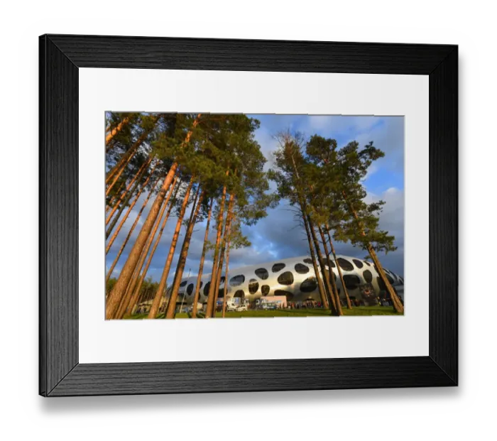 Framed Print : BATE Borisov v Arsenal FC - UEFA Europa League