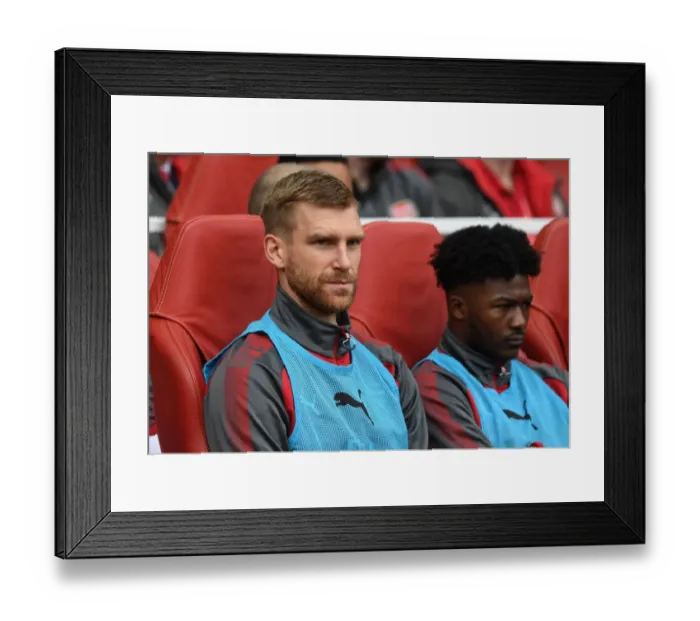 Framed Print : Per Mertesacker Focuses in Arsenal's Battle Against Brighton & Hove Albion (2017-18)