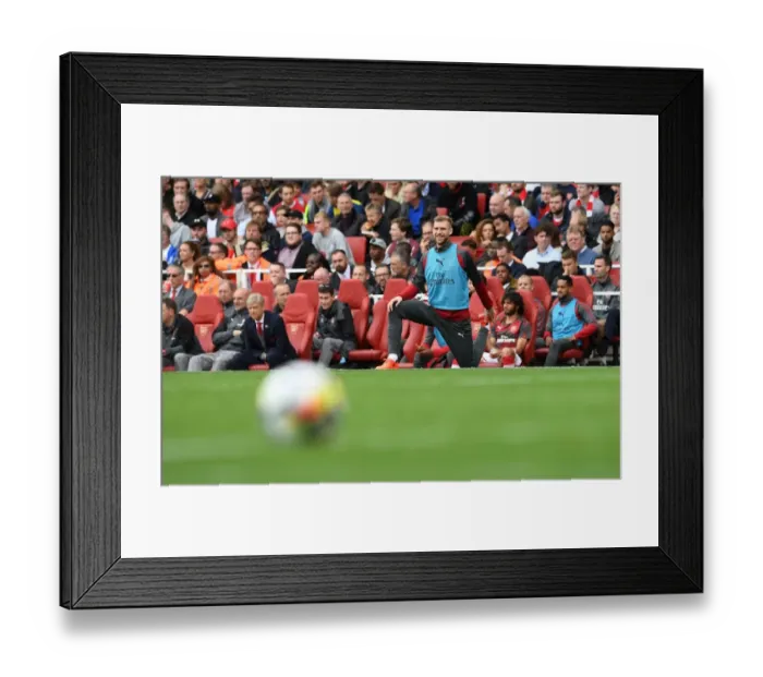 Framed Print : Per Mertesacker's Unwavering Concentration: Arsenal vs Brighton & Hove Albion (2017-18) Framed Print : Per Mertesacker's Unwavering Concentration: Arsenal vs Brighton & Hove Albion (2017-18)