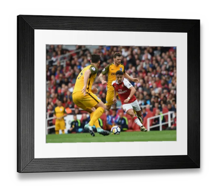 Framed Print : Arsenal's Alexis Sanchez Faces Off Against Christian Gross in Premier League Clash vs Brighton & Hove Albion Framed Print : Arsenal's Alexis Sanchez Faces Off Against Christian Gross in Premier League Clash vs Brighton & Hove Albion