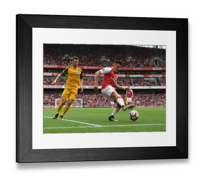 Framed Print : Arsenal's Alexis Sanchez Faces Off Against Brighton's Christian Gross in Premier League Showdown Framed Print : Arsenal's Alexis Sanchez Faces Off Against Brighton's Christian Gross in Premier League Showdown