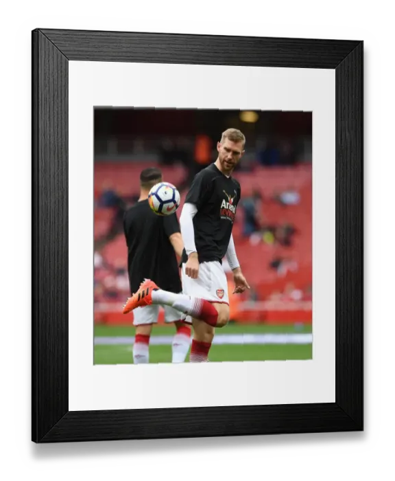Framed Print : Per Mertesacker (Arsenal). Arsenal 2: 0 Brighton & Hove Albion Framed Print : Per Mertesacker (Arsenal). Arsenal 2: 0 Brighton & Hove Albion