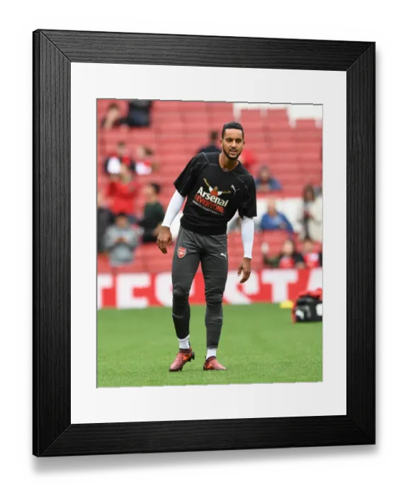 Framed Print : Theo Walcott (Arsenal). Arsenal 2: 0 Brighton & Hove Albion