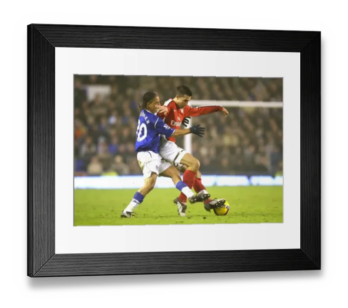 Framed Print : Robin van Persie (Arsenal) Steven Pienaar (Everton) Framed Print : Robin van Persie (Arsenal) Steven Pienaar (Everton)