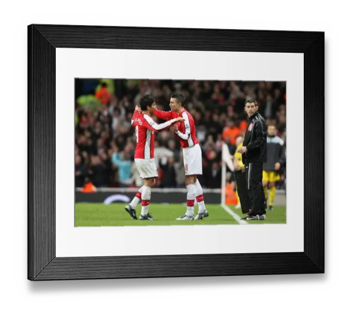 Framed Print : Eduardo makes way for Arsenal substitute Robin van Persie