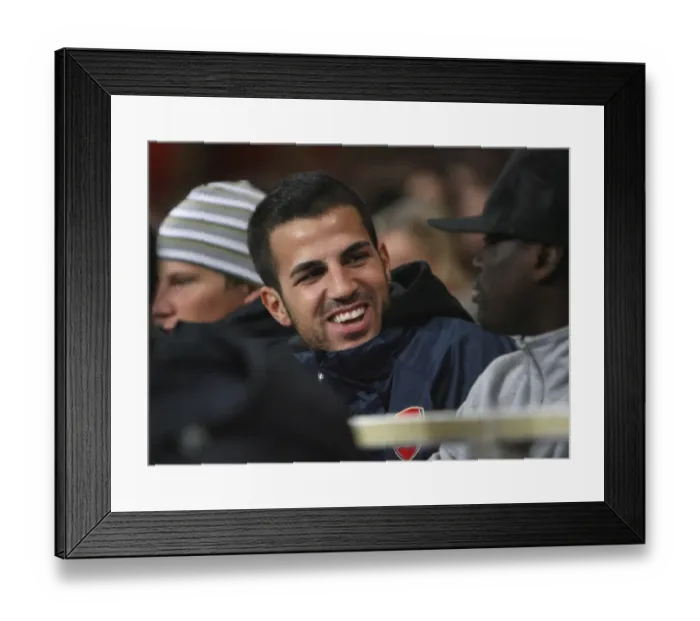 Framed Print : Fabregas Leadership: Arsenal's 4-0 FA Cup Triumph over Cardiff City Framed Print : Fabregas Leadership: Arsenal's 4-0 FA Cup Triumph over Cardiff City