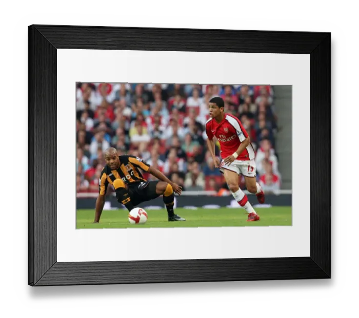 Framed Print : Denilson (Arsenal) Marlon King (Hull) Framed Print : Denilson (Arsenal) Marlon King (Hull)