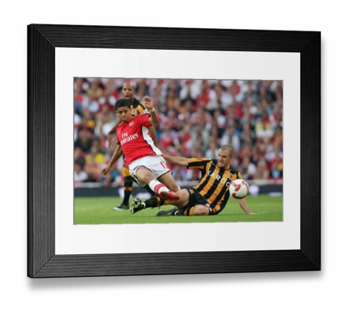 Framed Print : Denilson (Arsenal) Dean Marney (Hull)