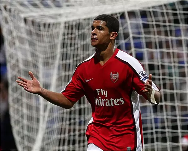 Denilson's Triumph: Arsenal's Third Goal vs. Bolton Wanderers in the Barclays Premier League (2008-09)