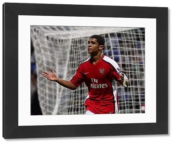 Denilson's Triumph: Arsenal's Third Goal vs. Bolton Wanderers in the Barclays Premier League (2008-09)