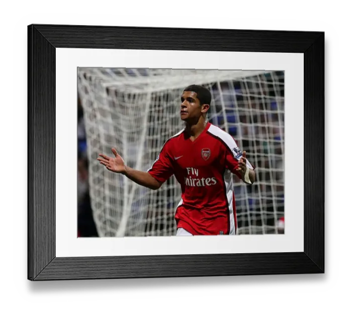 Framed Print : Denilson's Triumph: Arsenal's Third Goal vs. Bolton Wanderers in the Barclays Premier League (2008-09) Framed Print : Denilson's Triumph: Arsenal's Third Goal vs. Bolton Wanderers in the Barclays Premier League (2008-09)