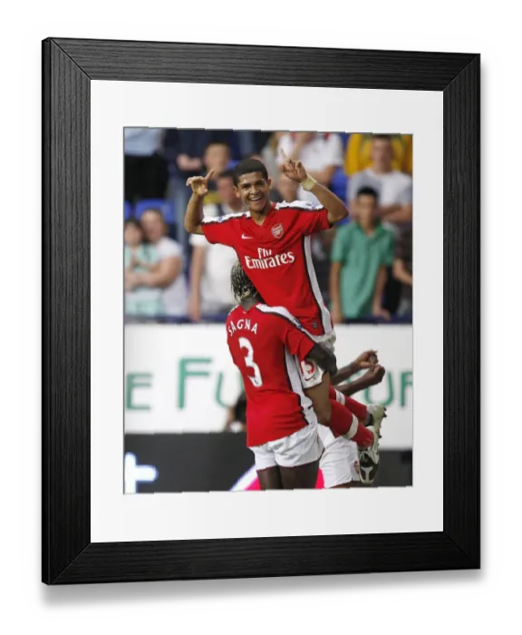 Framed Print : Denilson's Goal: Arsenal Celebrates Victory Over Bolton (2008-2009) Framed Print : Denilson's Goal: Arsenal Celebrates Victory Over Bolton (2008-2009)