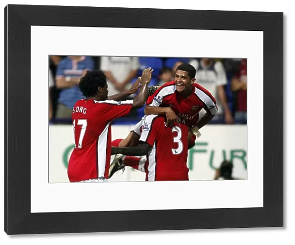 Arsenal's Denilson Scores Against Bolton: Exciting Moment from the 2008-2009 Premier League Match