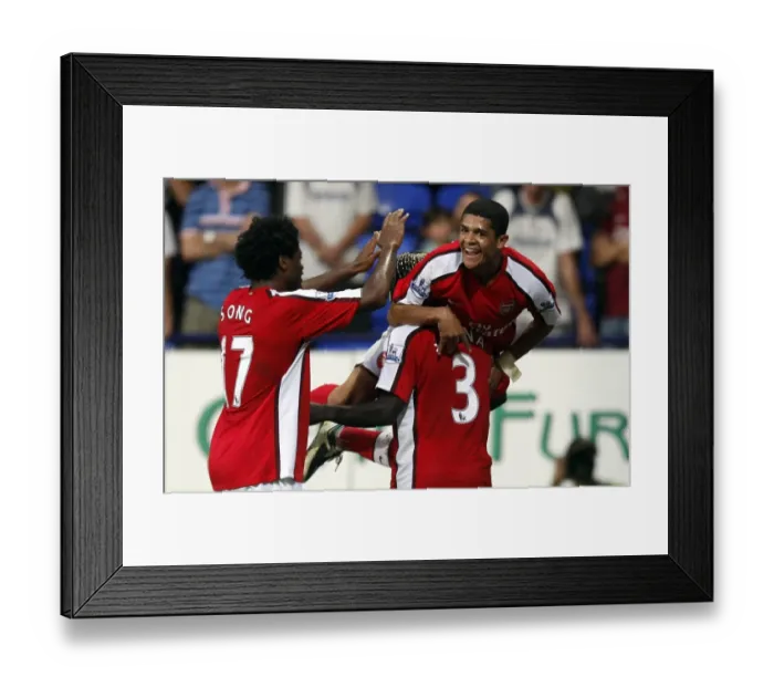 Framed Print : Arsenal's Denilson Scores Against Bolton: Exciting Moment from the 2008-2009 Premier League Match Framed Print : Arsenal's Denilson Scores Against Bolton: Exciting Moment from the 2008-2009 Premier League Match