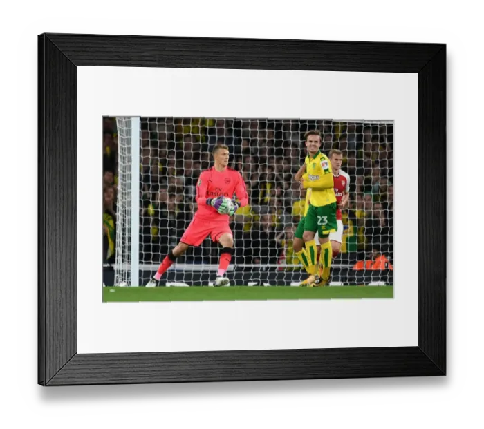 Framed Print : Matt Macey in Action: Arsenal vs Norwich City, Carabao Cup Fourth Round, 2017-18 Framed Print : Matt Macey in Action: Arsenal vs Norwich City, Carabao Cup Fourth Round, 2017-18