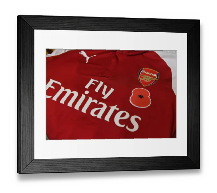 Framed Print : Arsenal v Swansea City - Premier League Framed Print : Arsenal v Swansea City - Premier League