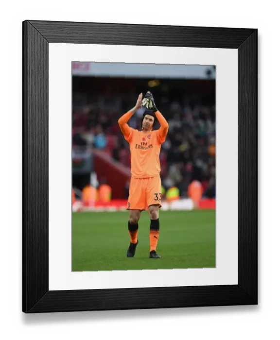 Framed Print : Arsenal's Petr Cech Celebrates with Fans after Arsenal v Swansea City Victory Framed Print : Arsenal's Petr Cech Celebrates with Fans after Arsenal v Swansea City Victory
