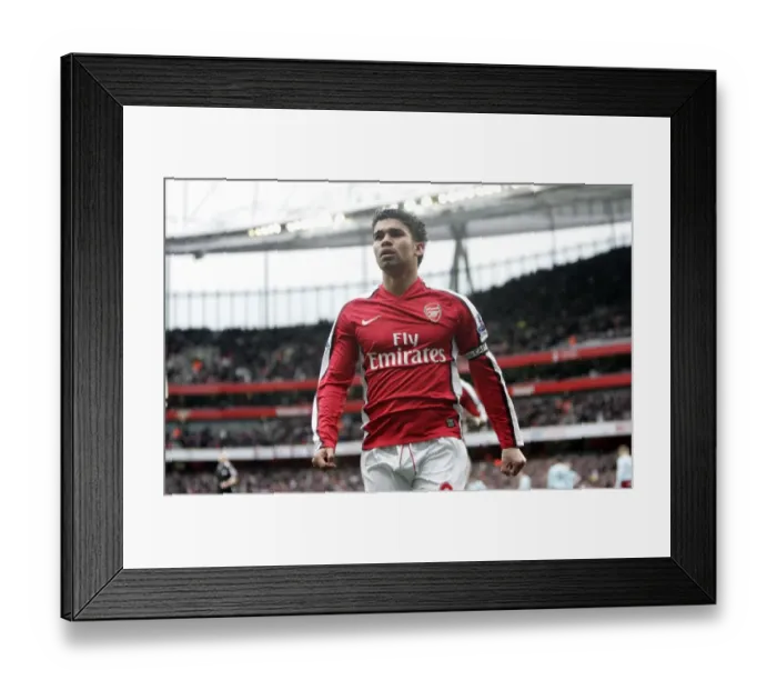 Framed Print : Eduardo's Double: Arsenal's Thrilling 3-0 FA Cup Victory Over Burnley Framed Print : Eduardo's Double: Arsenal's Thrilling 3-0 FA Cup Victory Over Burnley