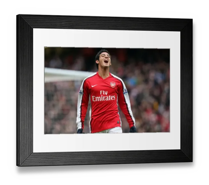 Framed Print : Thrilling Vela Goal: Arsenal's First in Historic 3-0 FA Cup Victory over Burnley (2009) Framed Print : Thrilling Vela Goal: Arsenal's First in Historic 3-0 FA Cup Victory over Burnley (2009)