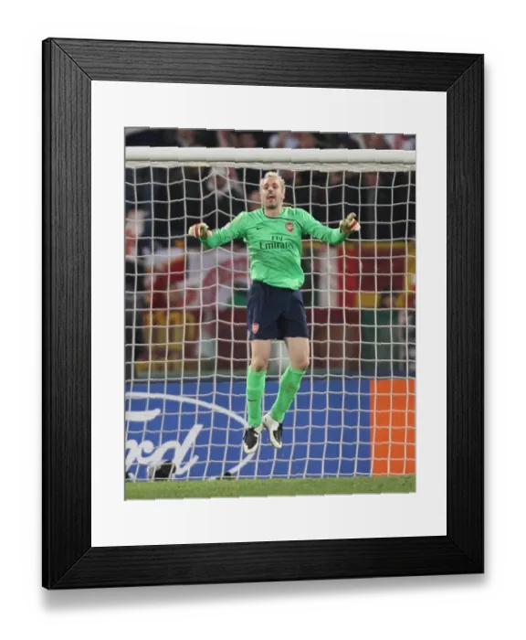 Framed Print : Manuel Almunia (Arsenal) Framed Print : Manuel Almunia (Arsenal)