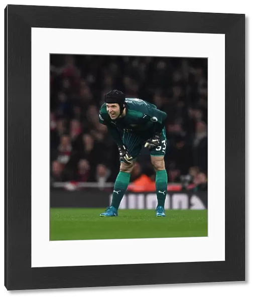 Petr Cech (Arsenal). Arsenal 3: 3 Liverpool. Premier League. Emirates Stadium, 22  /  12  /  17